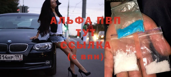 спиды Рославль
