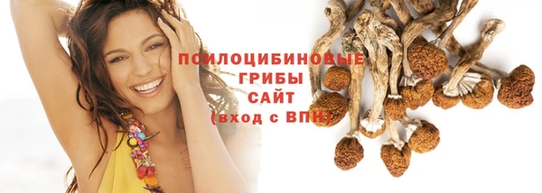 спиды Рославль