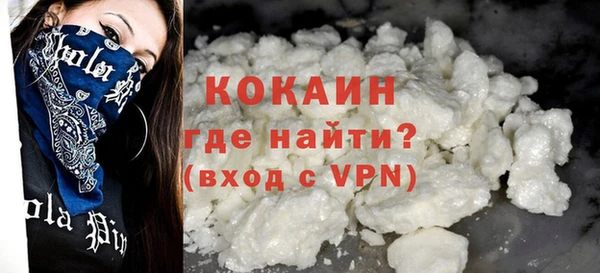 шишки Пестово