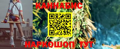 индика Абинск