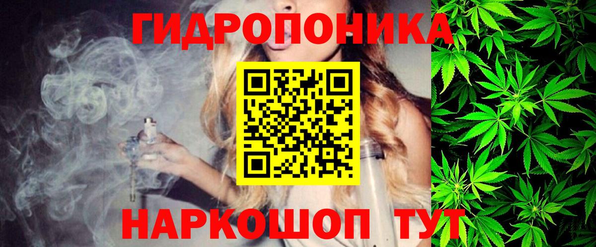 Шишки марихуана Ganja  Канабис Ganja  Красногорск  Марихуана индика 